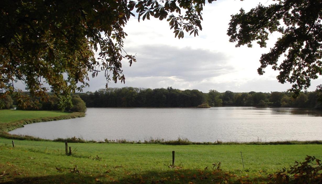 Erdgeschoss-Appartement Mit Seeterasse Ahrensbok Esterno foto